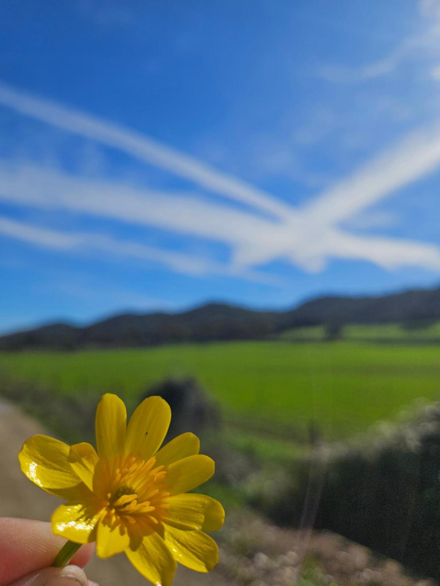 Finca Rural Labriega Del Hueznar กาซาญา เดลา เซียร์รา ภายนอก รูปภาพ